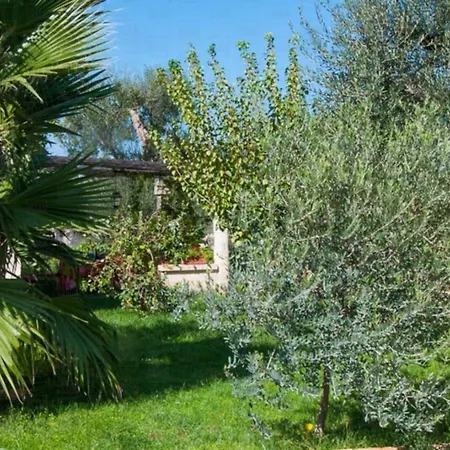 Helloapulia Nido In Degli Agrumi דירה *