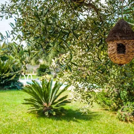 Helloapulia Nido In Degli Agrumi פאסאנו